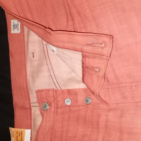 Levi - Picture 4 of 4